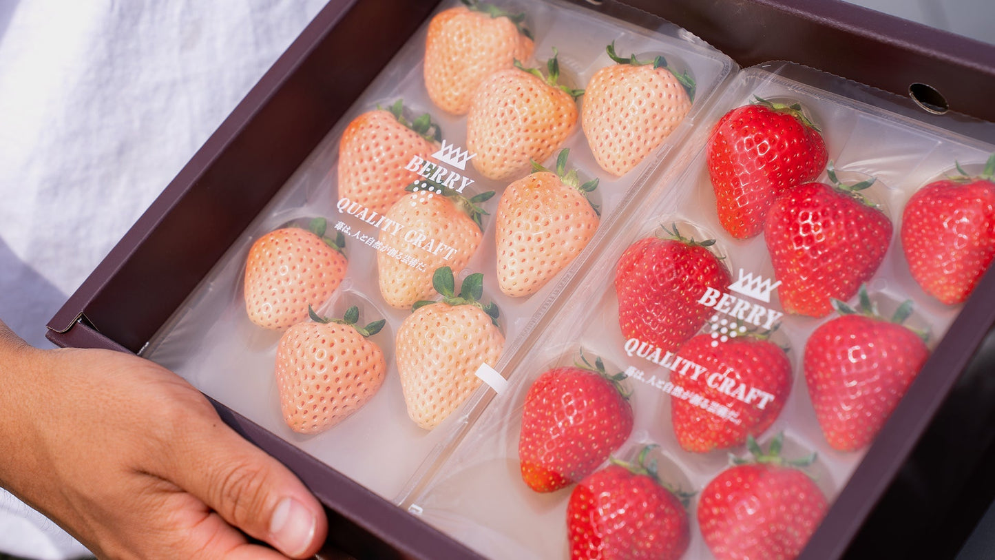 How Premium Japanese Strawberries Make It from Japan to Your Table in the U.S.