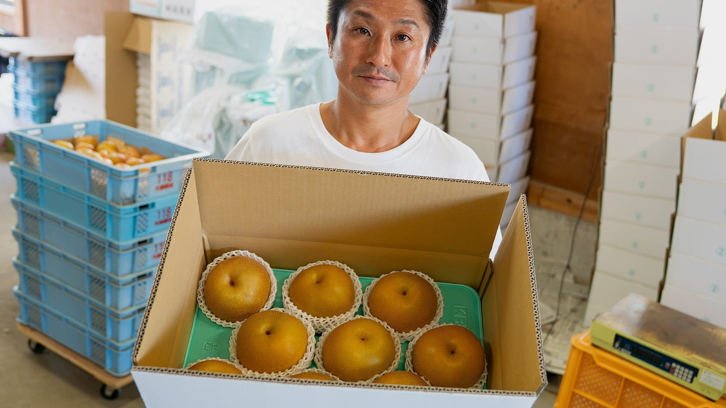A farmer is holding box of Japanese Pears from Soju farm