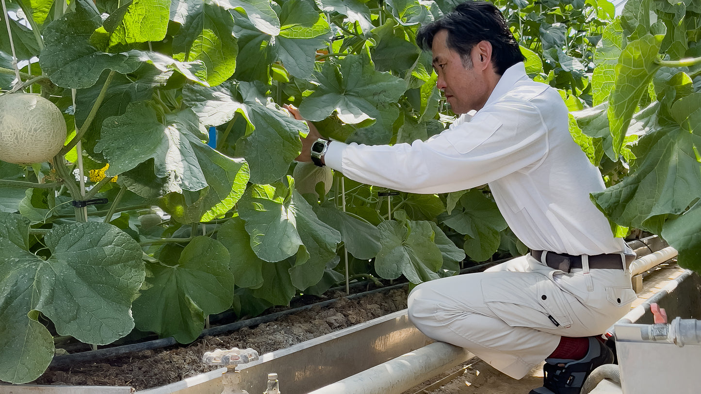 Japanese farmer at an orchard