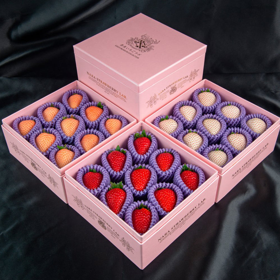 ＊strawberry＊ 薔薇雑貨 CROCHET PATTERN ONLY Crochet Strawberry Car Interior Rearview
