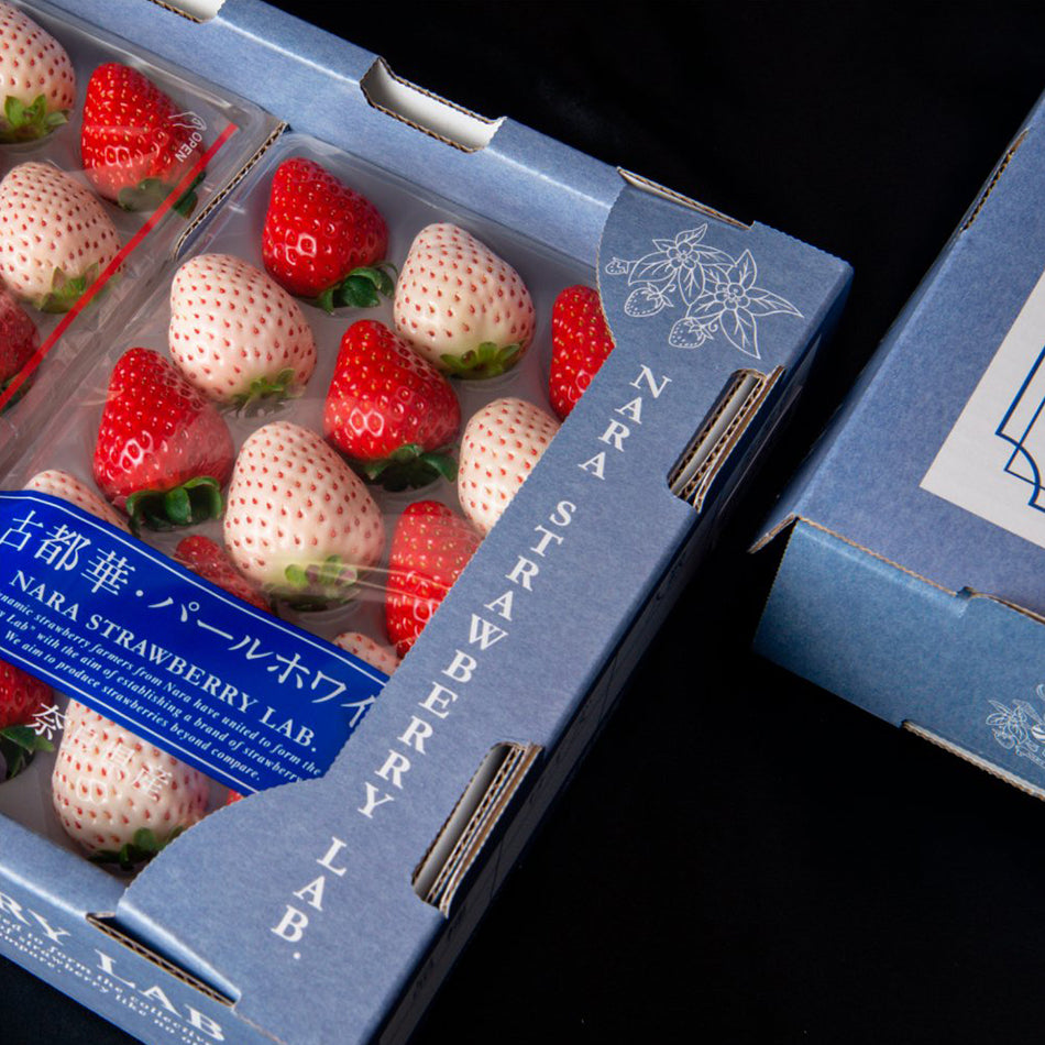 Death of a Strawberry 30ml EDP – Hoshi Gato Death of a Strawberry 30ml EDP – Hoshi Gato
