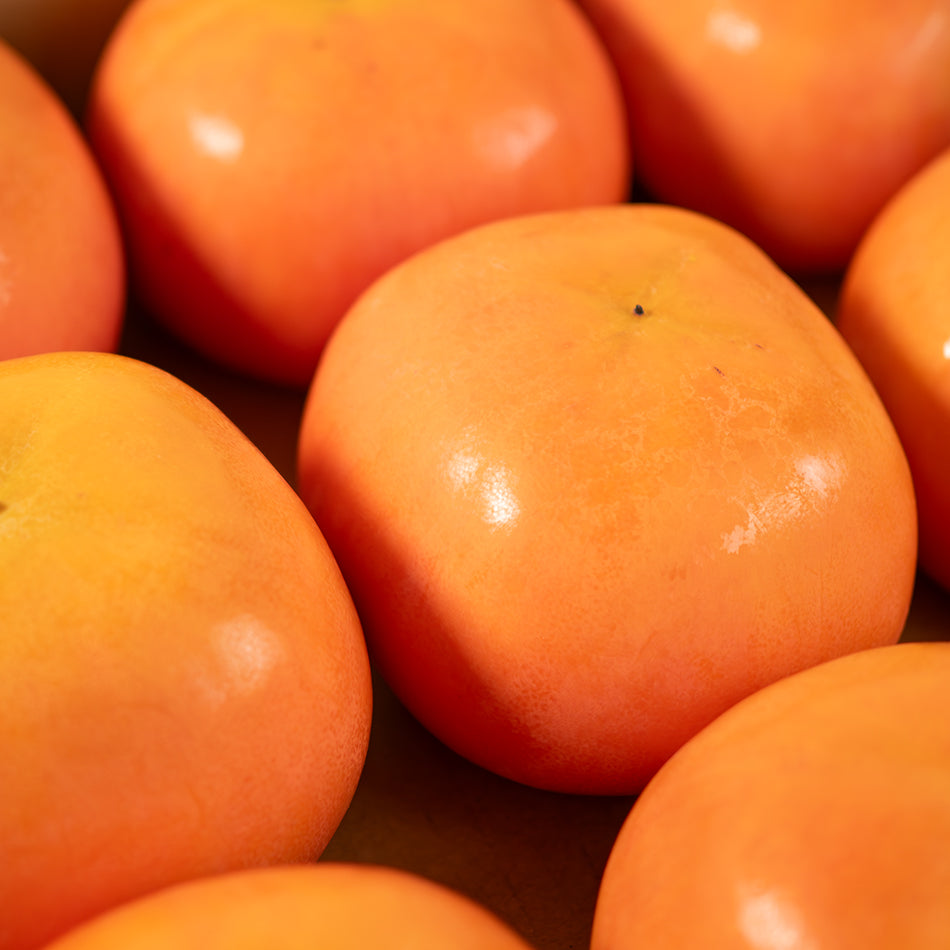 Fuyu Persimmon (L ×12) – ikigaifruits.com