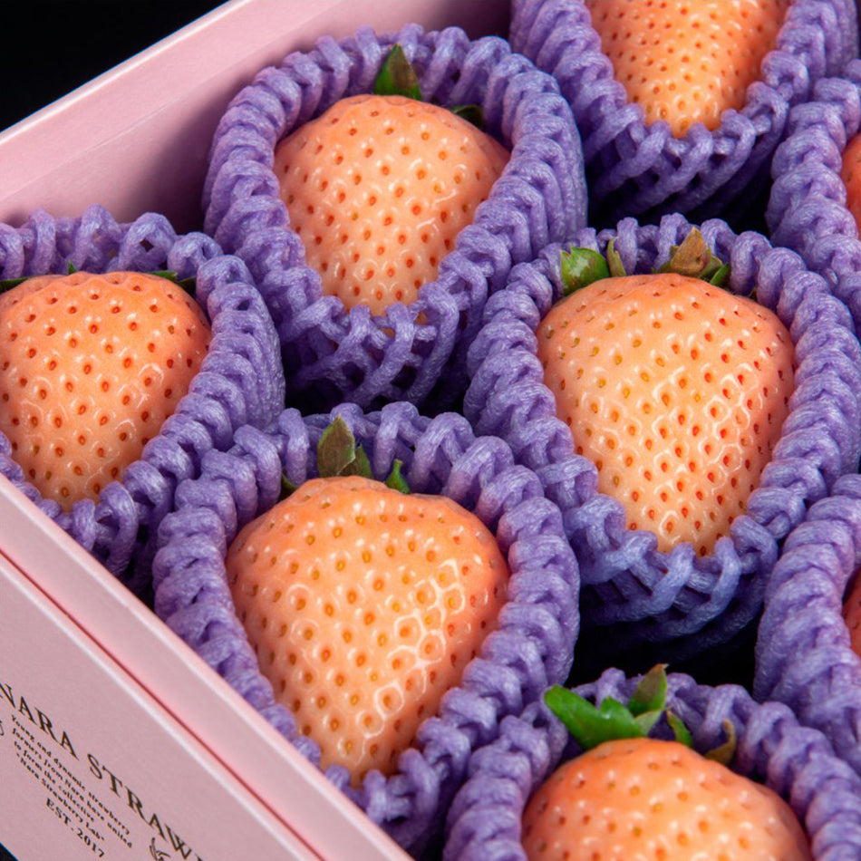 Kotoka Strawberries – ikigaifruits.com