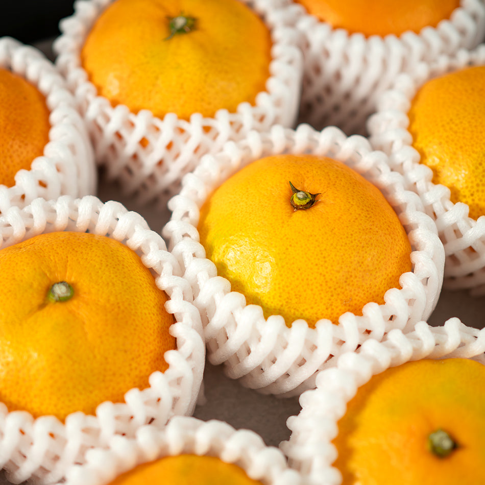 その他 mikan Unshu Mikan – ikigaifruits.com