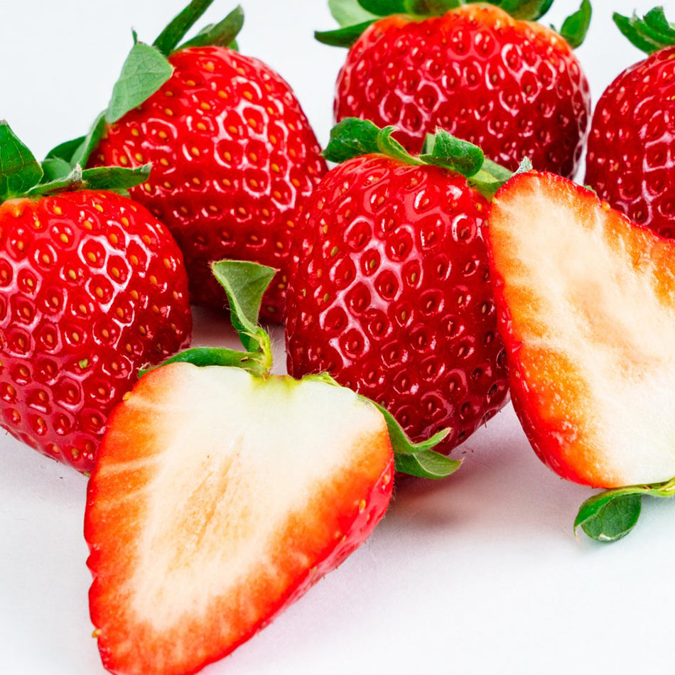 kotoka strawberry seeds Kotoka