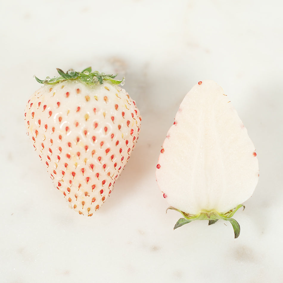 white strawberry seeds japan Pearl White
