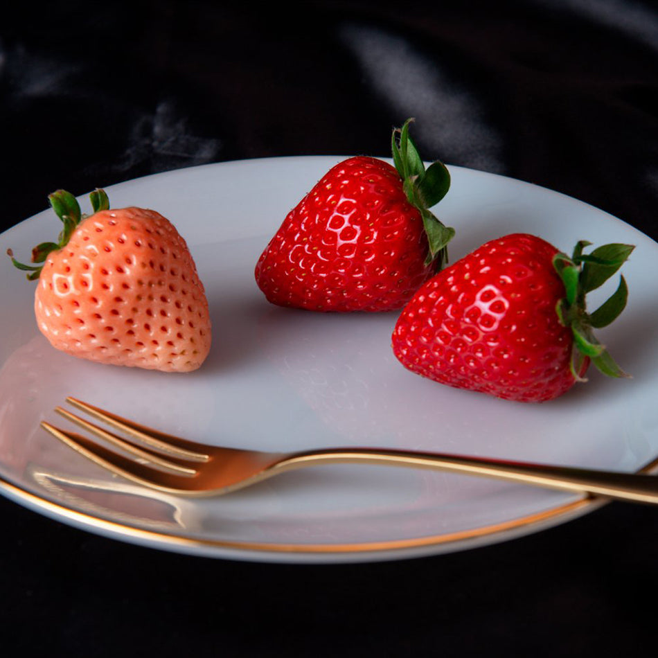 strawberry✨ページ Kotoka Strawberries – ikigaifruits.com