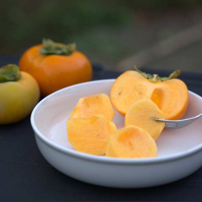 
                  
                    Eighth Wonder / Chocolate Persimmon Assort
                  
                
