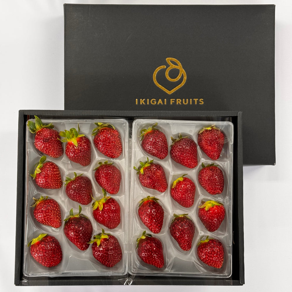 Japanese Strawberries – ikigaifruits.com