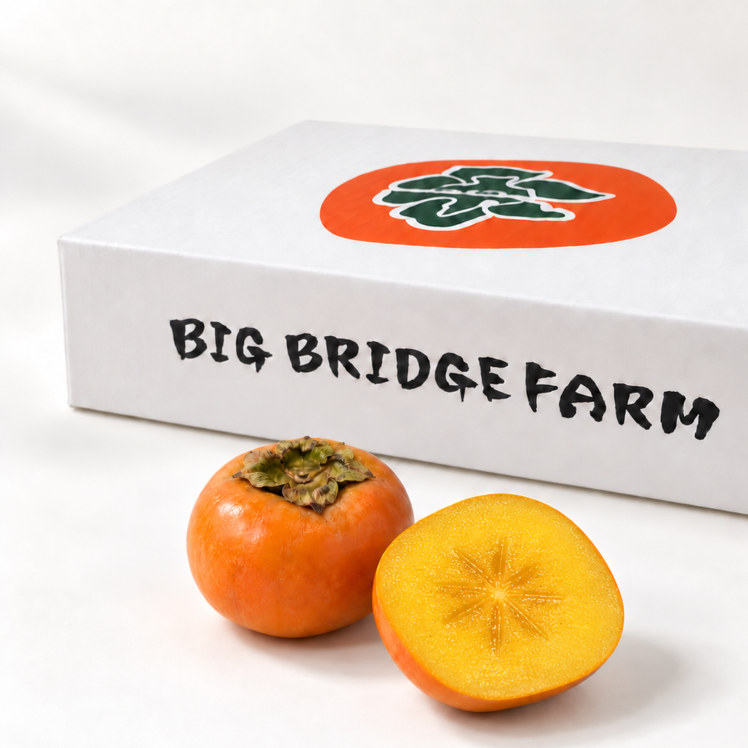 
                  
                    Eighth Wonder / Chocolate Persimmon Assort
                  
                