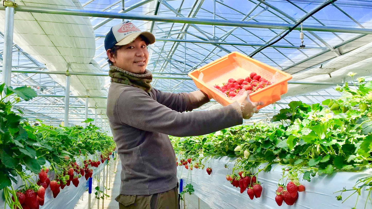 The Sweet Beginning of Mr. Yokochi