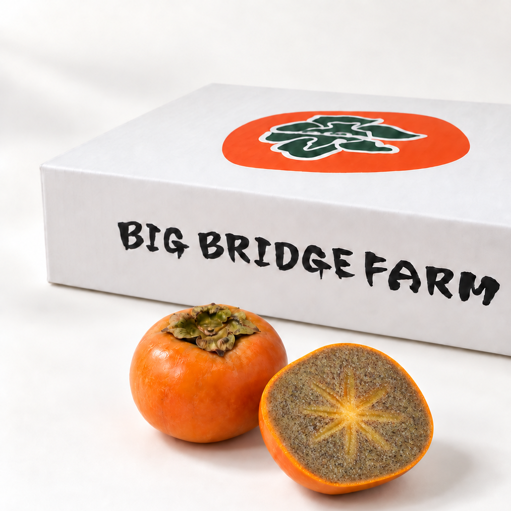 
                  
                    Chocolate Persimmon
                  
                