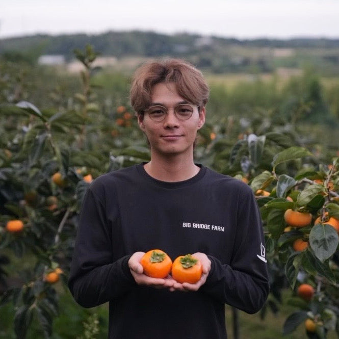 
                  
                    Chocolate Persimmon
                  
                