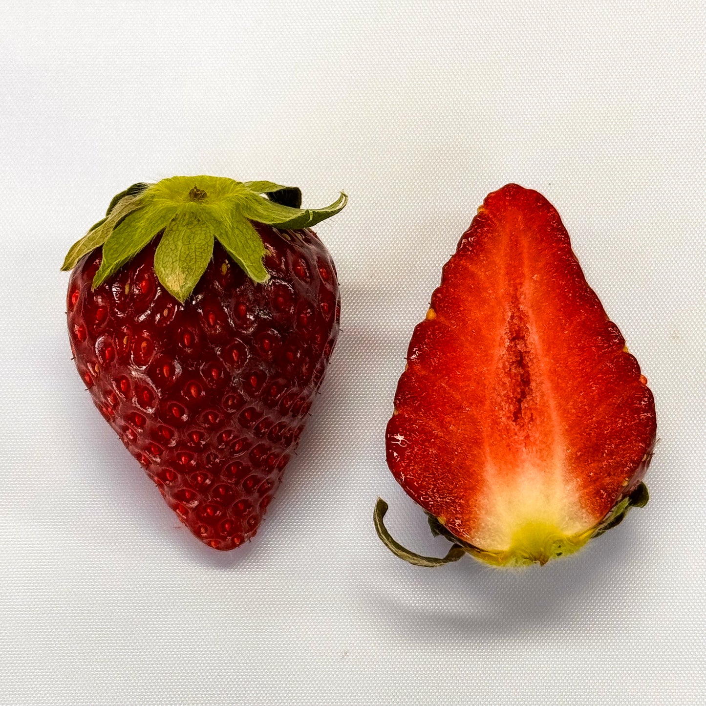 
                  
                    Shinku no Misuzu & Shinju Hime
                  
                