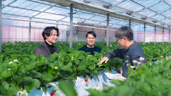 The Art of Unlocking Fruit Potential