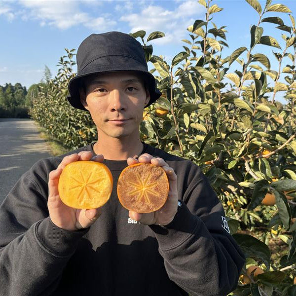 
                  
                    Goma Hatchin / Hatchin Persimmon
                  
                