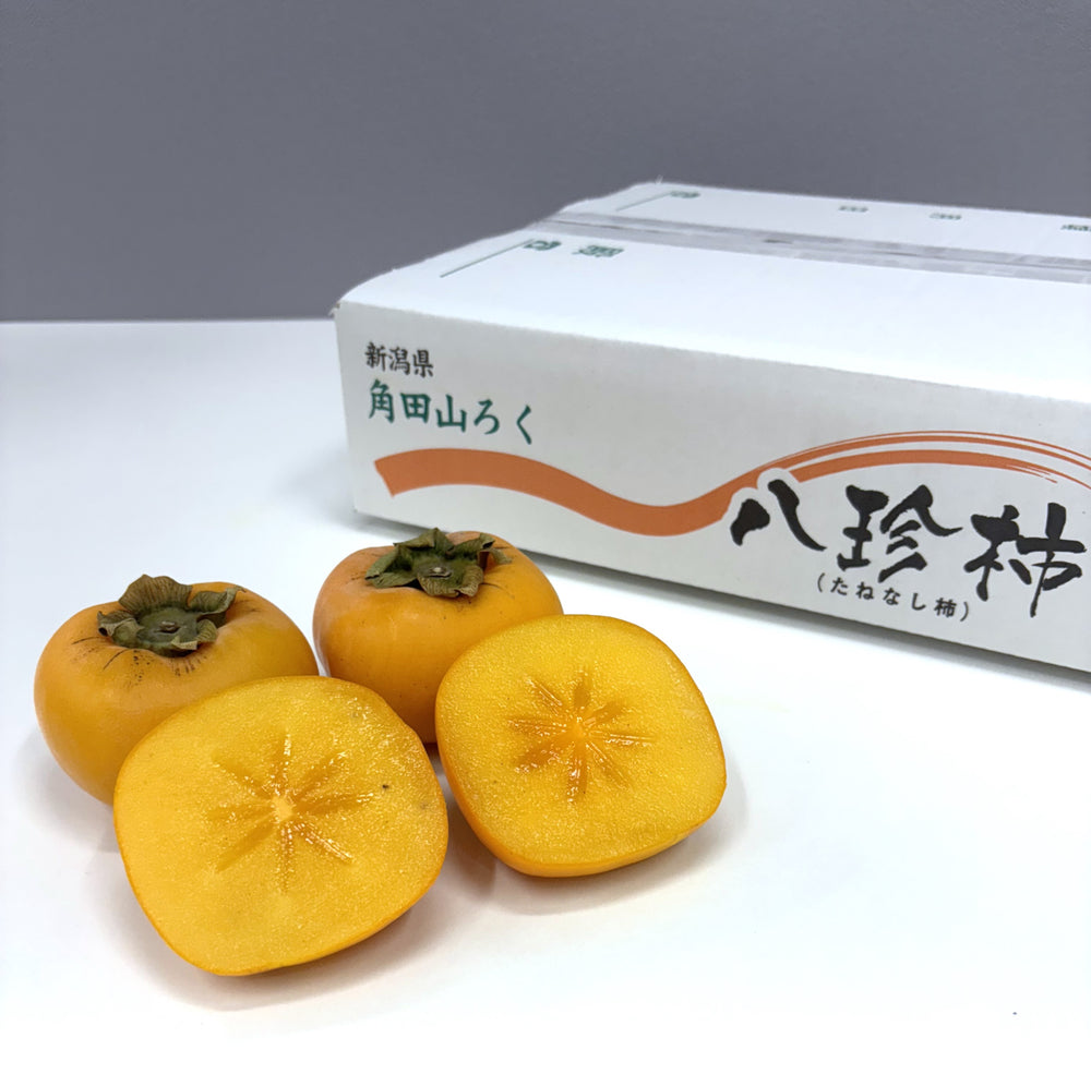 Goma Hatchin / Hatchin Persimmon