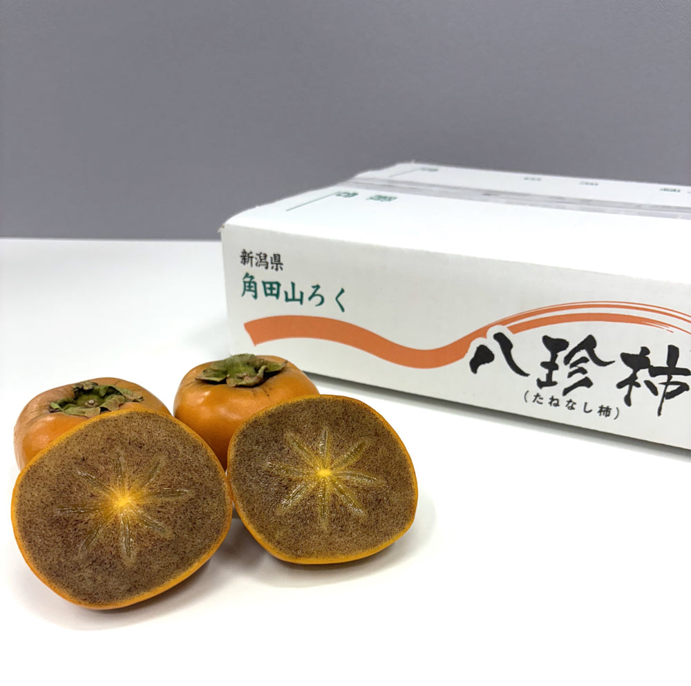 Goma Hatchin / Hatchin Persimmon