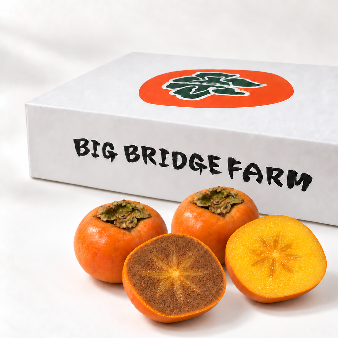 
                  
                    Eighth Wonder / Chocolate Persimmon Assort
                  
                