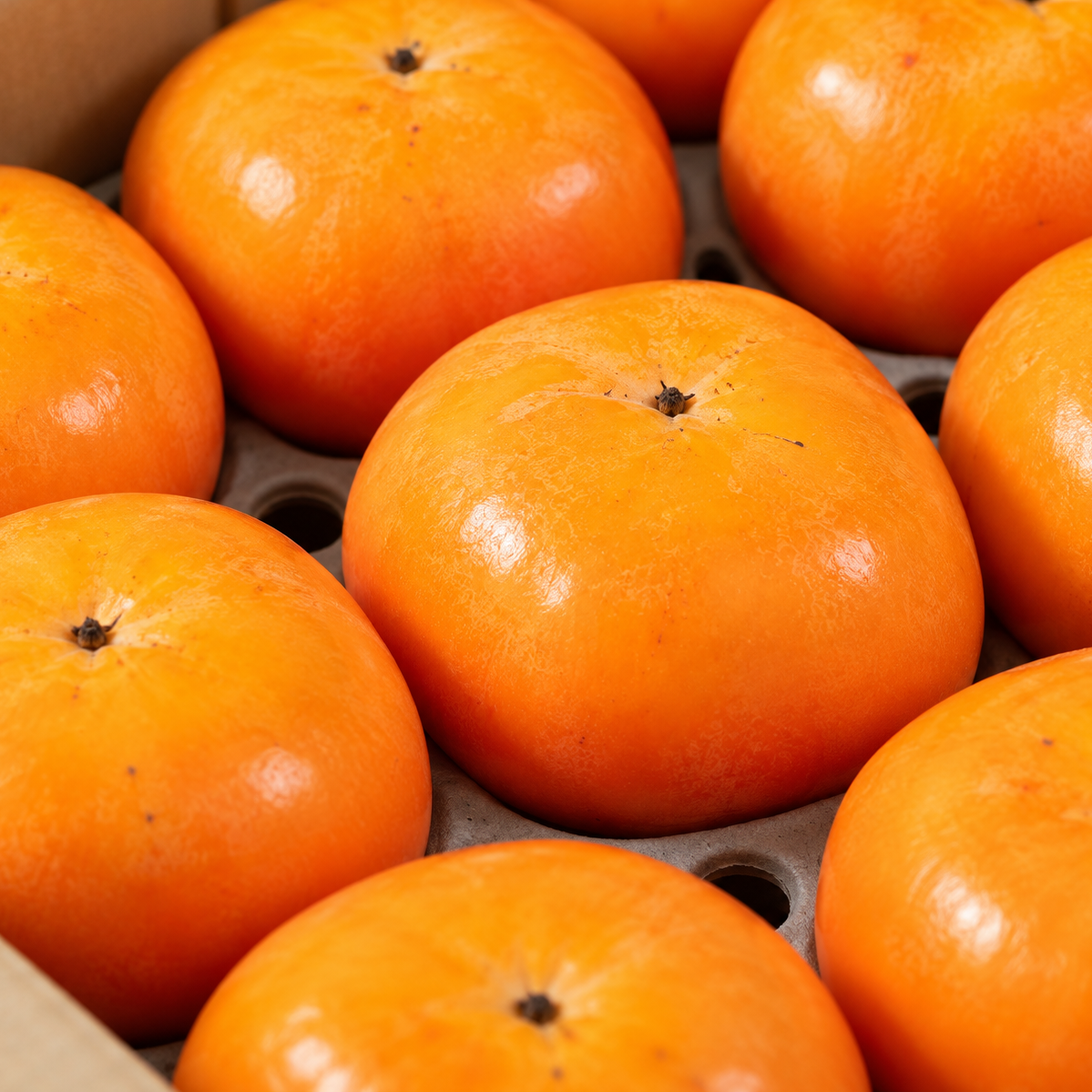 
                  
                    Close-up of orange Akiou Japanese persimmons arranged in a protective packing tray
                  
                