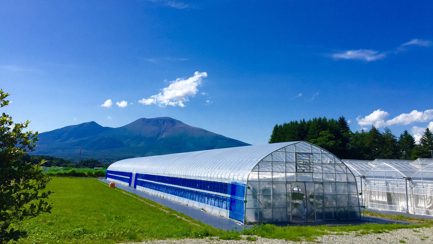 Karuizawa Garden Farm – Strawberries That Bring Smiles