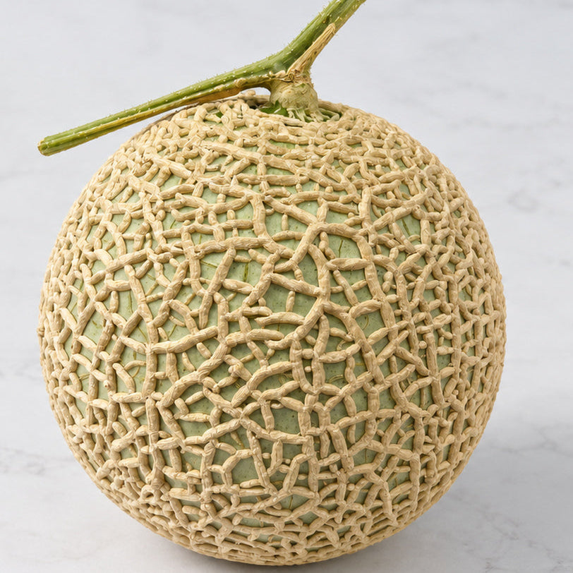 
                  
                    Japanese melon with a netted rind and attached stem
                  
                