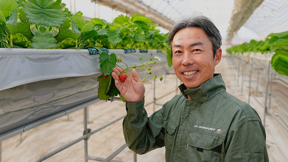 Cultivating strawberries and community.