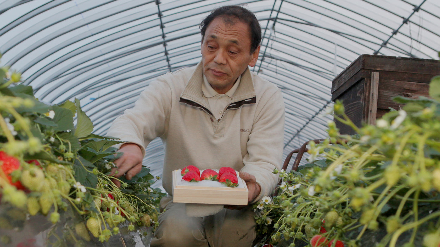 Mikio Okuda's Strawberry Passion