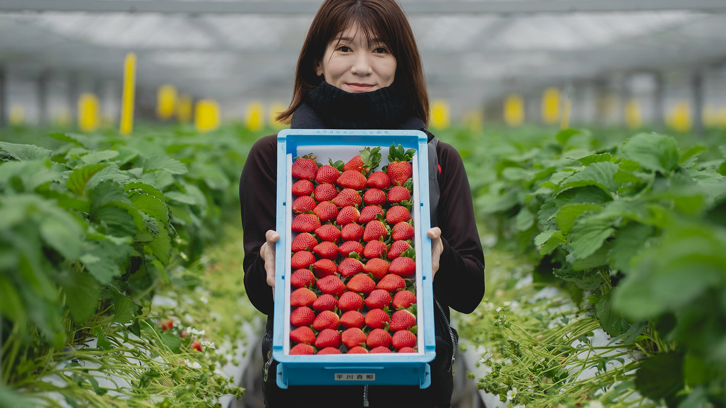 Woman-Owned, Women-Focused Workplace