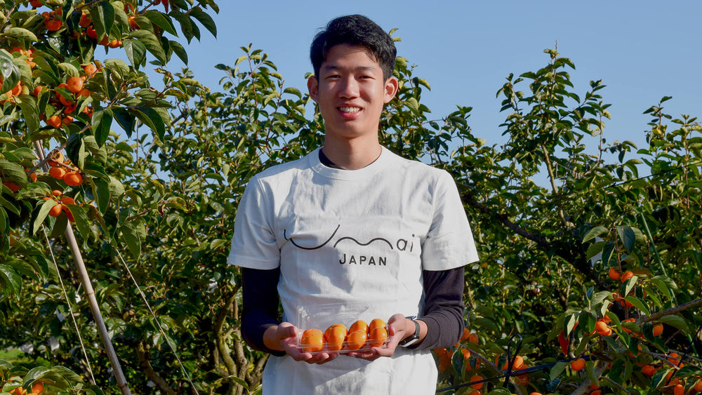 One of the youngest persimmon producers in Japan